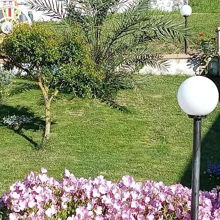 Stella Del Cilento Di Anna Botti Frühstückspension Agropoli